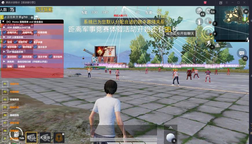 和平精英辅助：游戏公平性与技术挑战